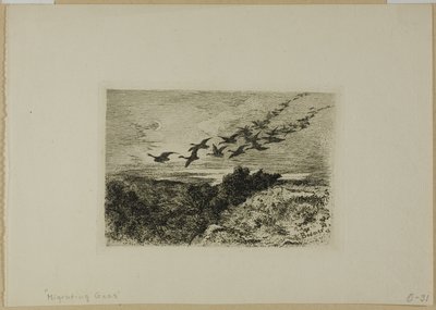 Latające gęsi autorstwa Karl Bodmer