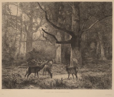 Las w Fontainebleau autorstwa Karl Bodmer