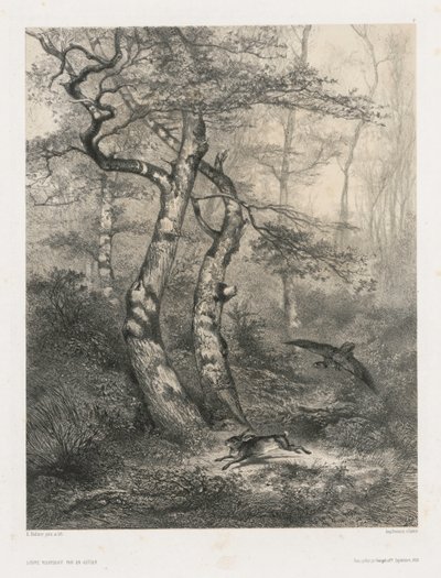 Zając ścigany przez jastrzębia, 1858. autorstwa Karl Bodmer