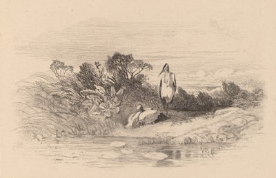 Czaple. autorstwa Karl Bodmer