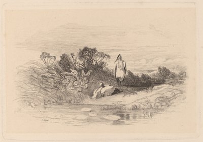 Czaple autorstwa Karl Bodmer