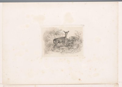 Hindus w lesie Krajobrazy ze zwierzętami (tytuł serii) autorstwa Karl Bodmer