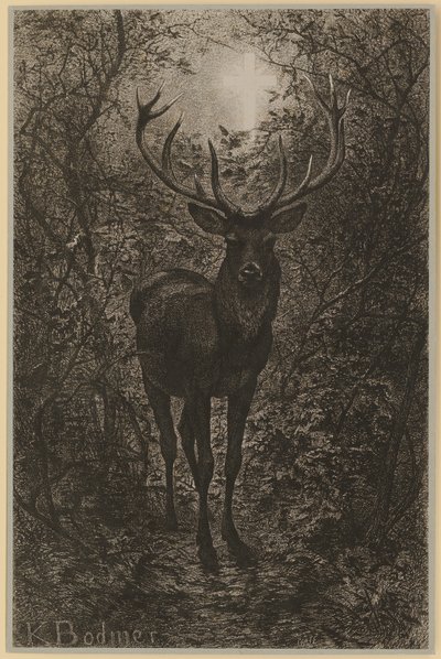 Jeleń św. Huberta autorstwa Karl Bodmer