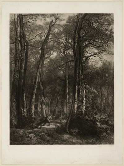 W lesie autorstwa Karl Bodmer