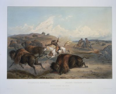 Indianie polujący na żubry autorstwa Karl Bodmer