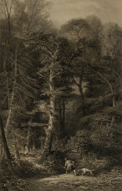 Wnętrze lasu autorstwa Karl Bodmer