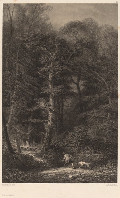 Wnętrze Lasu autorstwa Karl Bodmer