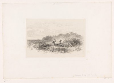 Krajobraz z dwoma jeleniami wirginijskimi Krajobrazy ze zwierzętami (tytuł serii) autorstwa Karl Bodmer