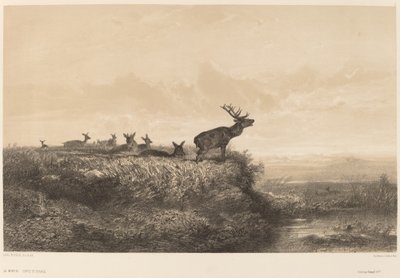 Poranek. autorstwa Karl Bodmer