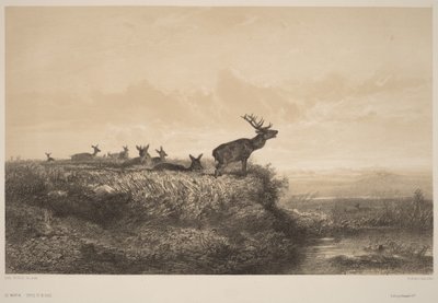  autorstwa Karl Bodmer