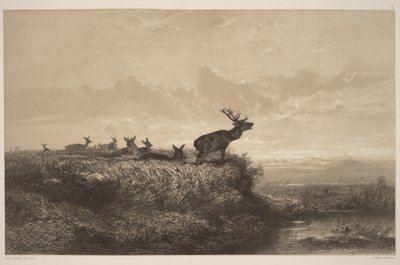  autorstwa Karl Bodmer