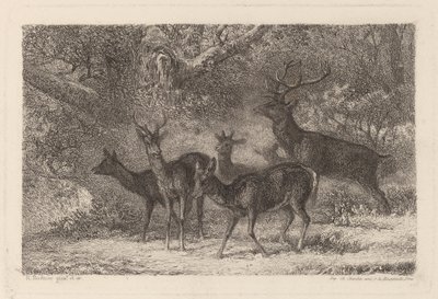 stado autorstwa Karl Bodmer