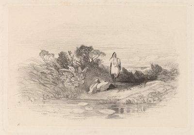 Dwie czaple autorstwa Karl Bodmer