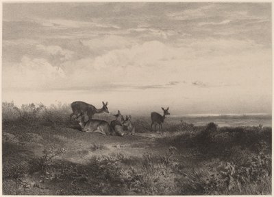 Łanie. autorstwa Karl Bodmer