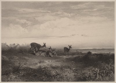  autorstwa Karl Bodmer