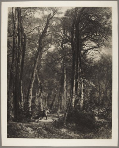 Człowiek w lesie autorstwa Karl Bodmer
