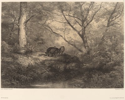 Markasyni autorstwa Karl Bodmer