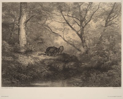  autorstwa Karl Bodmer
