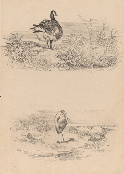 Oj, Czapla. autorstwa Karl Bodmer