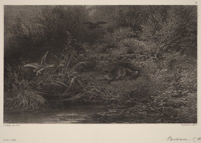  autorstwa Karl Bodmer