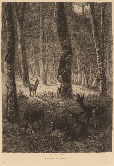 Powrót do domu autorstwa Karl Bodmer
