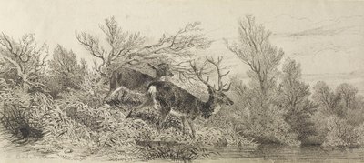  autorstwa Karl Bodmer