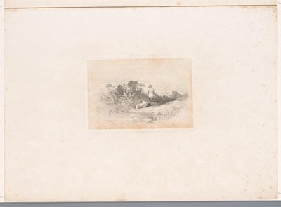 Dwie czaple na nabrzeżu Krajobrazy ze zwierzętami (tytuł serii) autorstwa Karl Bodmer