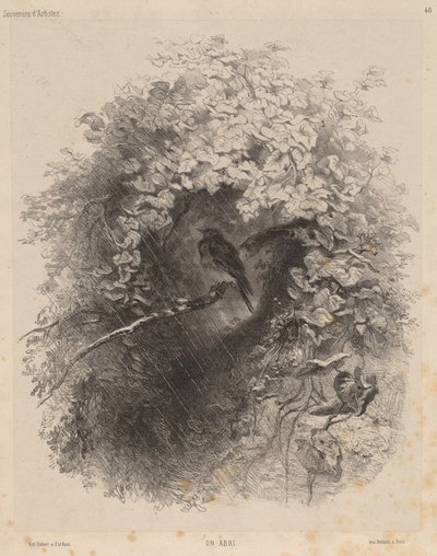 Schronisko, 1858. autorstwa Karl Bodmer