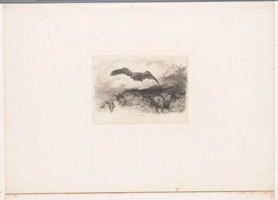 latający orzeł Krajobrazy ze zwierzętami (tytuł serii) autorstwa Karl Bodmer