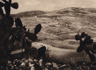 Samaria, Hipodrom Heroda (zdjęcie czarno-białe) autorstwa Karl Grober