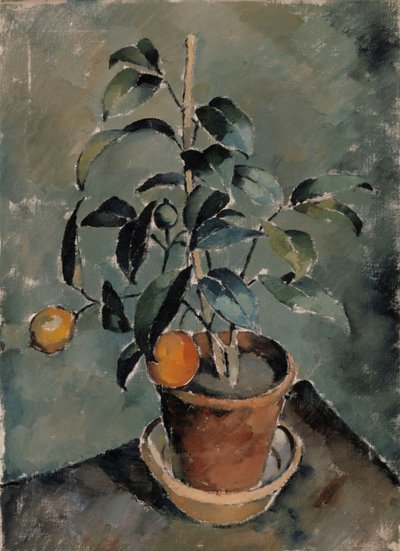Pomarańczowa roślina autorstwa Karl Isakson