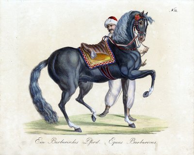  autorstwa Karl Joseph Brodtmann