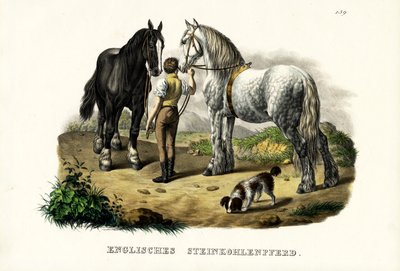 Angielski Koń Pit, 1824 autorstwa Karl Joseph Brodtmann