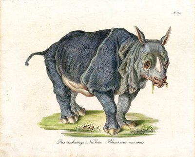  autorstwa Karl Joseph Brodtmann