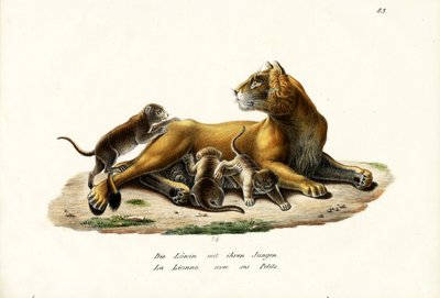 Lwica z młodymi, 1824 autorstwa Karl Joseph Brodtmann