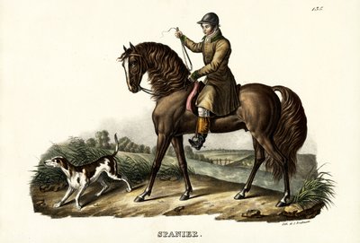 Hiszpański koń myśliwski, 1824 autorstwa Karl Joseph Brodtmann