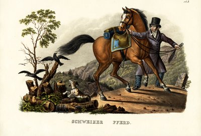 Koń szwajcarski, 1824 autorstwa Karl Joseph Brodtmann