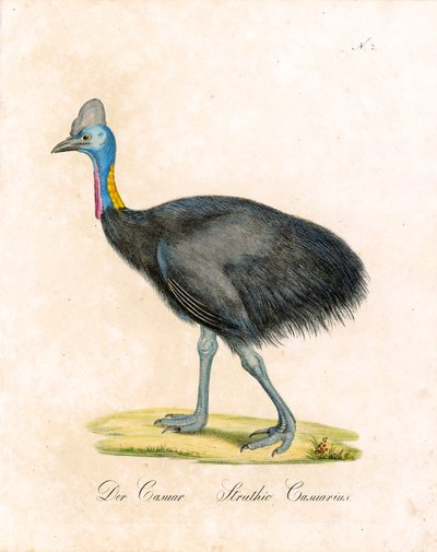  autorstwa Karl Joseph Brodtmann