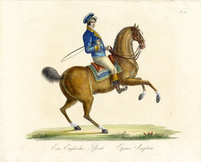  autorstwa Karl Joseph Brodtmann