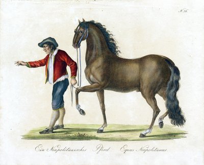  autorstwa Karl Joseph Brodtmann