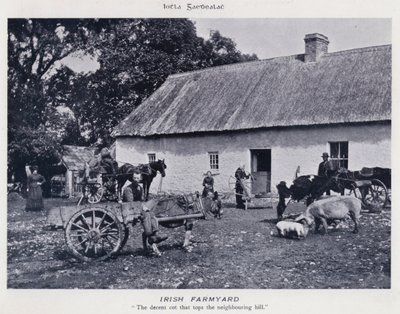 Irlandzkie gospodarstwo rolne (zdjęcie czarno-białe) autorstwa Karl Karlovich Piratsky