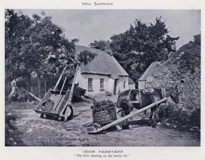 Irlandzkie gospodarstwo rolne (zdjęcie czarno-białe) autorstwa Karl Karlovich Piratsky
