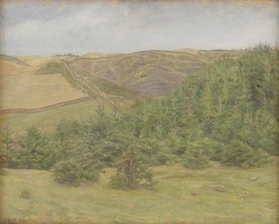 Svanninge Hills, Fionia autorstwa Karl Schou