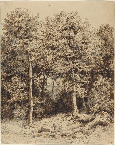 Zagajnik drzew autorstwa Karl Theodor Reiffenstein