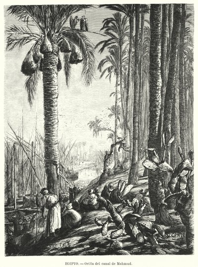 Brzegi Kanału Mahmoudiyah, Egipt (lito) autorstwa Karl Wilhelm Gentz