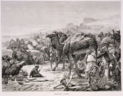 Strzyżenie wielbłądów autorstwa Karl Wilhelm Gentz