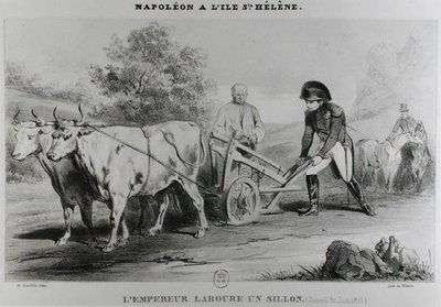 Napoleon (1769-1821) na św. Helenie, rycina Francois le Villain (fl.1819-22) autorstwa Karl after Loeillot Hartwig