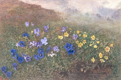Wiosenne kwiaty górskie, 1896 autorstwa Kate fl.1873 96 Goodwin