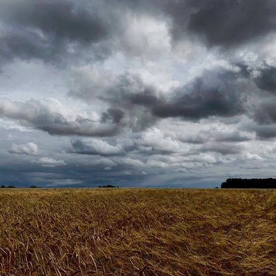 Burzowe niebo nad uprawami późnego lata 2020 r. autorstwa Katha Wood