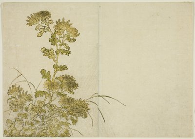 Zimowe kwiaty: chryzantemy, z książki „Zwierciadło pięknych kobiet z dzielnic przyjemności (Seiro bijin awase sugata kagami),” tom. 1 autorstwa Katsukawa Shunsho